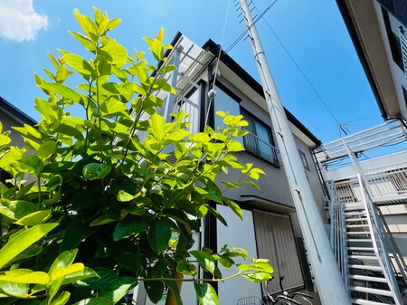 マルヨシコ－ポ２２外観写真