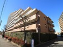 エル・スタージュ(905)
