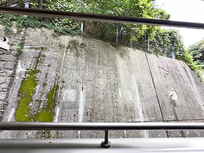 物件内観写真19　(室内からの展望)