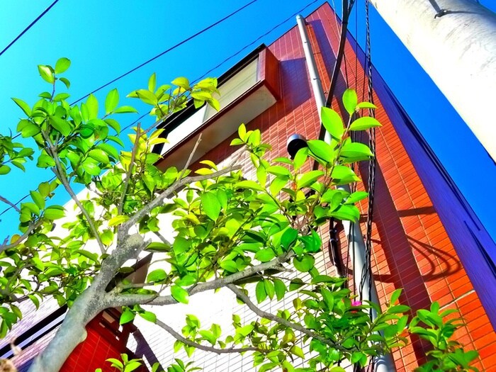 物件内観写真20　(周辺環境)