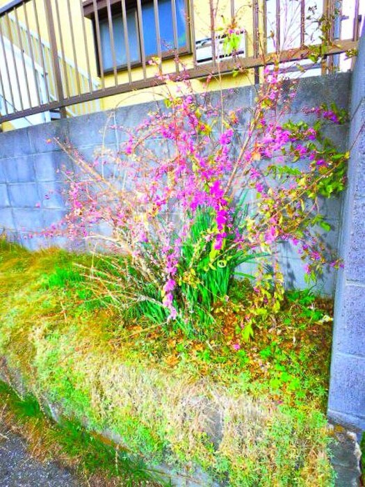 物件外観写真5　(その他)