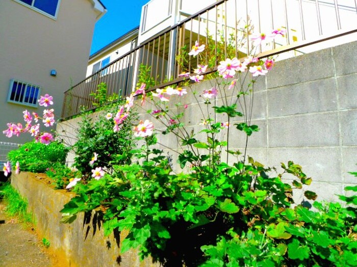 物件外観写真6　(周辺環境)