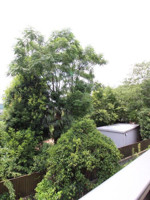 物件内観写真16　(室内からの展望)