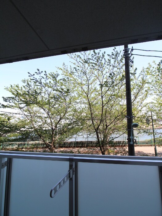 物件内観写真19　(室内からの展望)