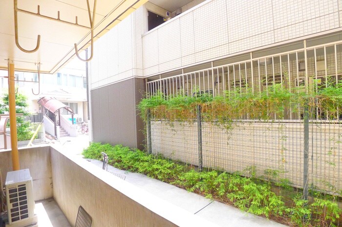 物件内観写真22　(室内からの展望)