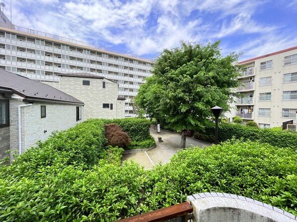 室内からの展望