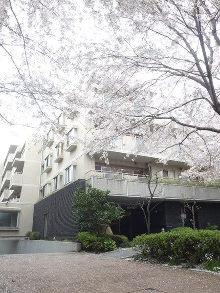 グランレーヴ大森蘇峰公園(109)外観写真
