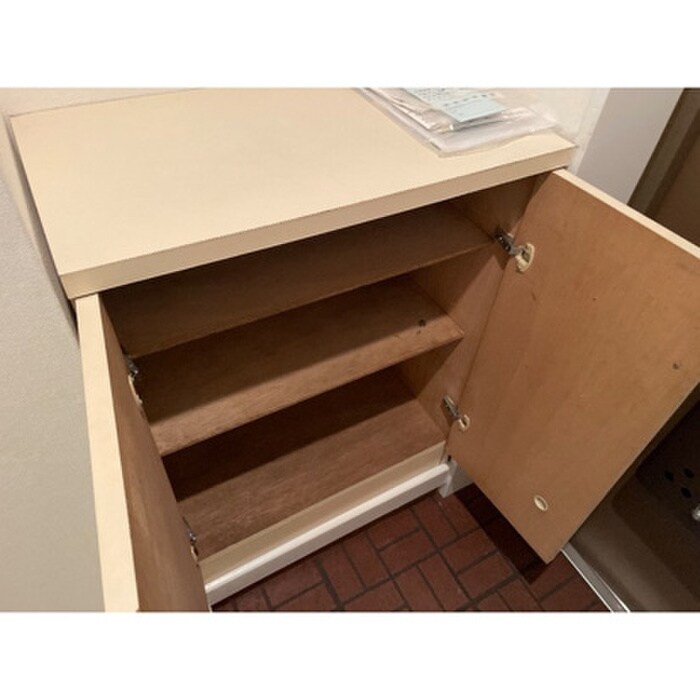 物件内観写真11　(靴箱)