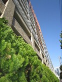東京ナイル(302)