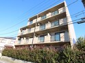南町田アイリス