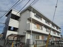 国井ｺ-ﾎﾟ