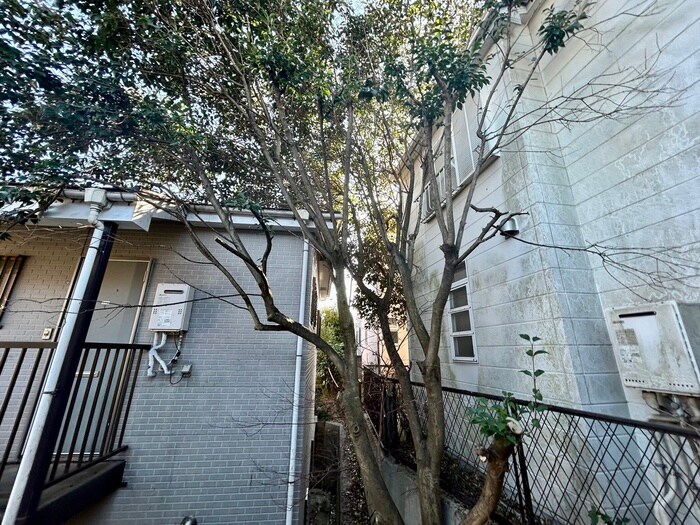 物件内観写真18　(室内からの展望)