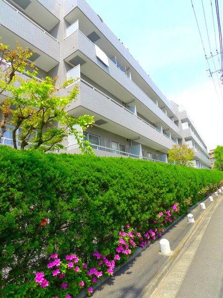 品川大井町ｽｶｲﾚｼﾞﾃﾙ（415）外観写真