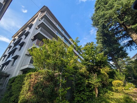 白鷺ハイム4号棟(207)外観写真