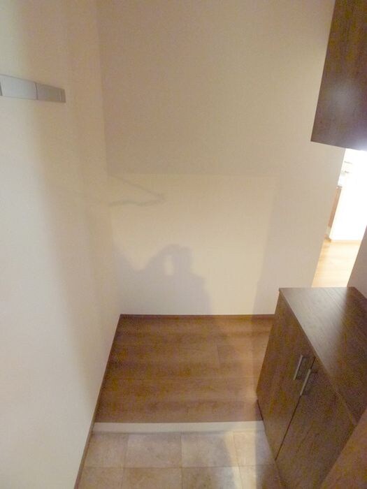 物件内観写真6　(玄関)