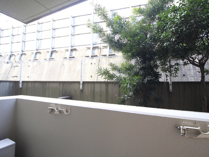 物件内観写真12　(室内からの展望)