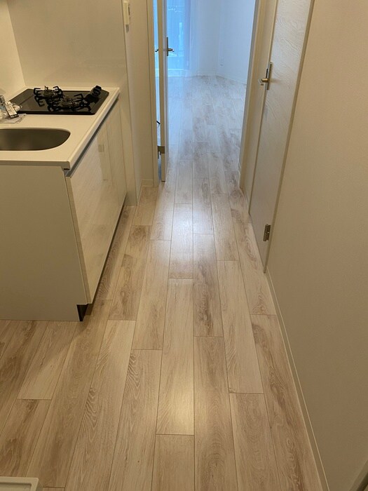 物件内観写真12　(廊下)