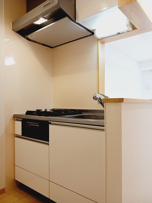 物件内観写真5　(キッチン)