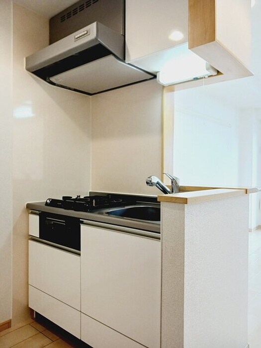 物件内観写真6　(キッチン)