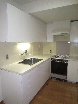 物件内観写真5　(キッチン)