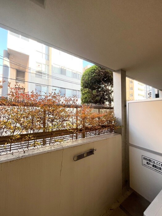 物件内観写真16　(室内からの展望)