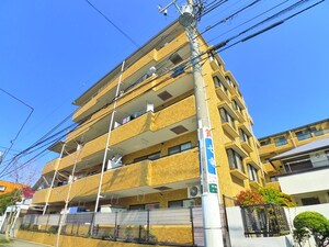 ﾗｲｵﾝｽﾞﾏﾝｼｮﾝ三郷第6(503)外観写真