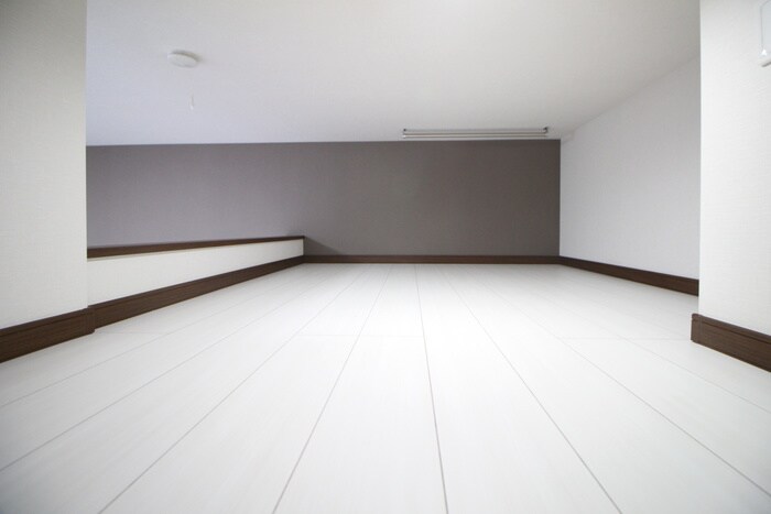 物件内観写真19　(ロフト)