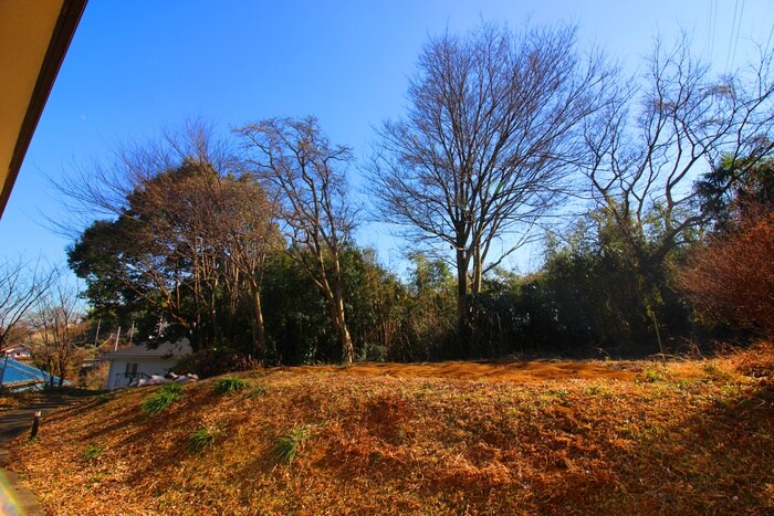 物件内観写真16　(室内からの展望)