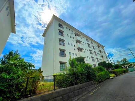 左近山団地五街区６棟(501)外観写真