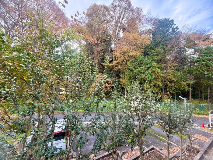 物件内観写真22　(室内からの展望)