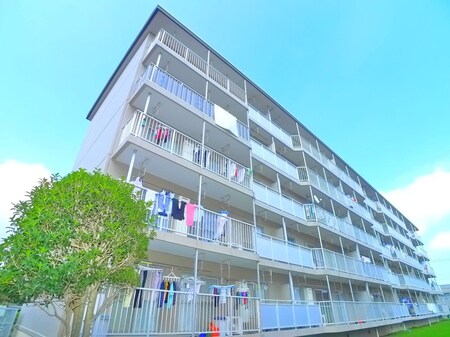 花見川ﾗｲｵﾝｽﾞﾌﾟﾗｻﾞ6号棟(506)外観写真