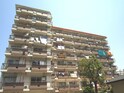 高島平サンパワー（203）