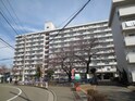 下平間住宅鹿島田ｸﾞﾘ-ﾝﾊｲﾂ2(809)