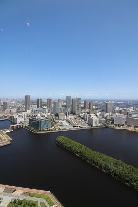 スカイズタワー＆ガーデン(908)の周辺環境