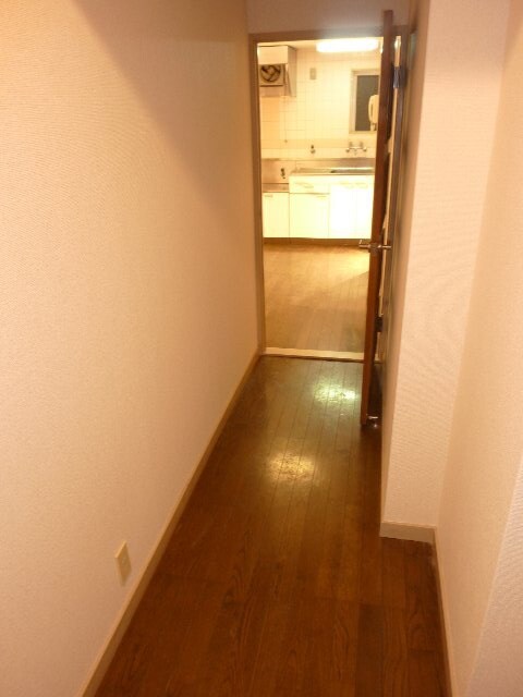 物件内観写真9　(廊下)