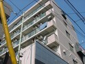 シャングリ・ラ市川