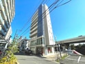 パウロニアバレーテイク８