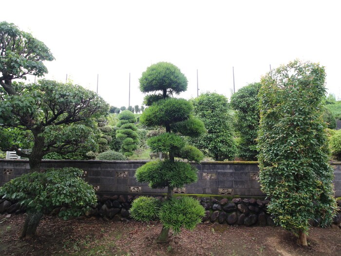 物件内観写真19　(室内からの展望)