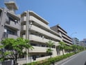 ソレイユ市ヶ尾（205）