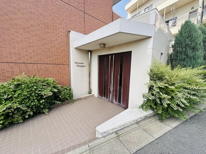 物件外観写真2　(エントランス部分)