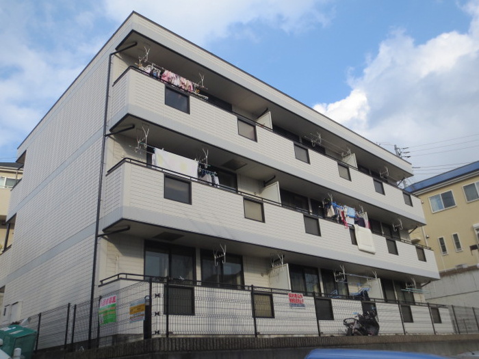 ドルフ小机