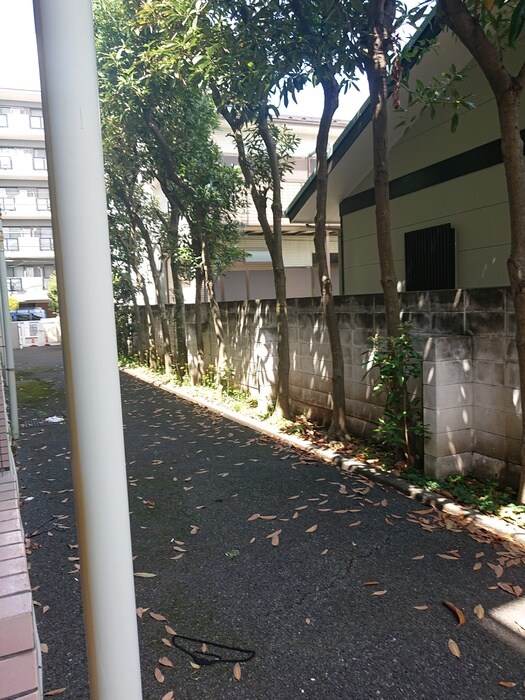 物件内観写真20　(室内からの展望)