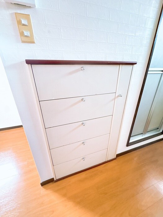 物件内観写真21　(靴箱)