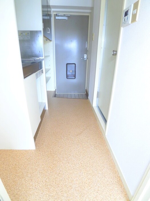 物件内観写真6　(廊下)