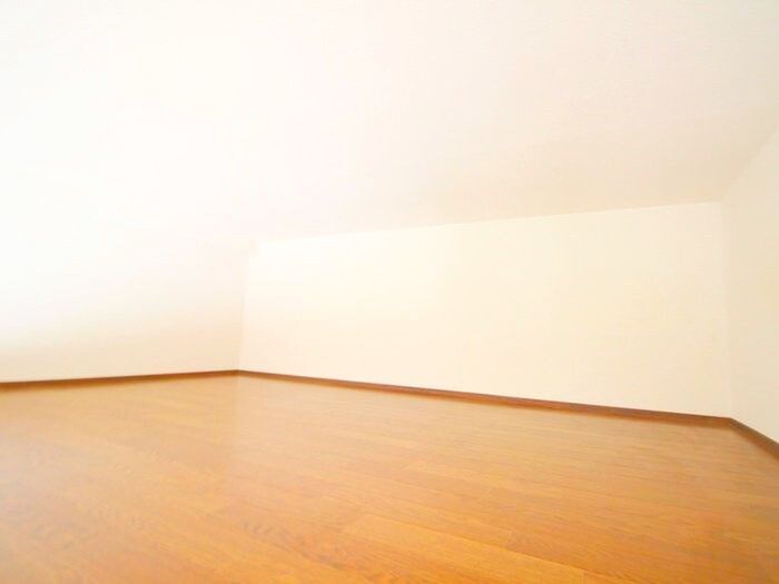 物件内観写真10　(ロフト)