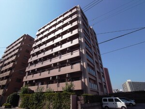 パレ・ド－ル月島（５０４）外観写真