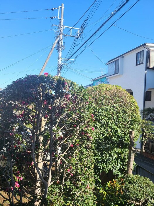 物件内観写真16　(室内からの展望)