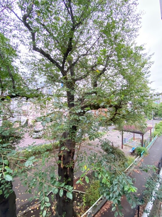 物件内観写真19　(室内からの展望)