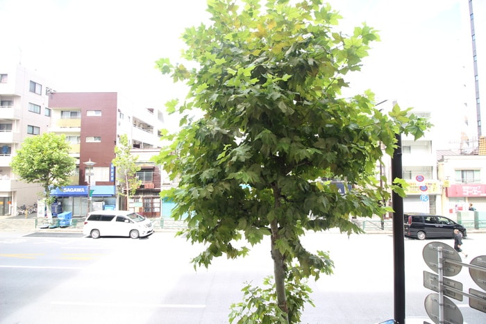 物件内観写真20　(室内からの展望)