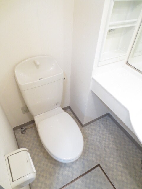 物件内観写真11　(トイレ)